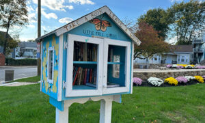 Little Library in Cummings Park